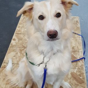 Meet your Posher, Tina